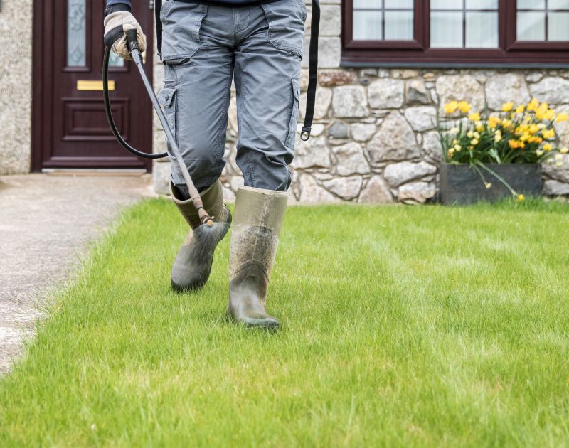 Contact About Yard Makeover