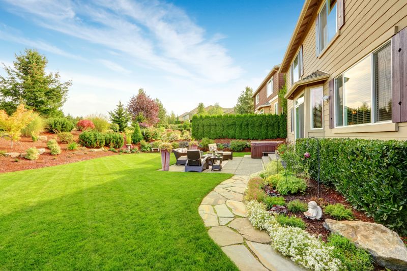 yard makeover