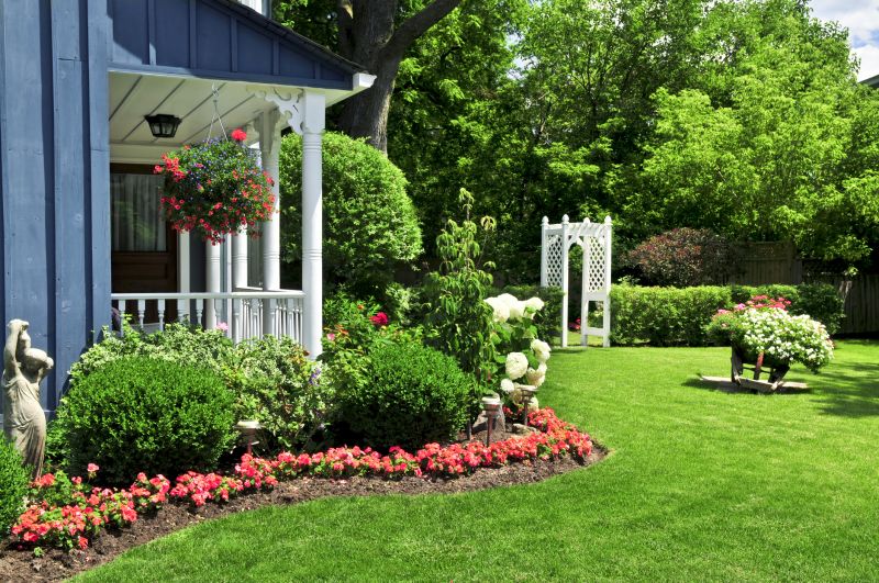 yard makeover